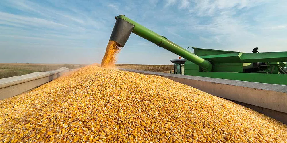 Ексміністру повідомили про підозру у шахрайстві на 63 млн грн