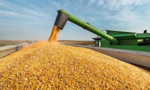 НАБУ підтвердило затримання чотирьох суддів за хабарництво у справі «Мотор Січі» 