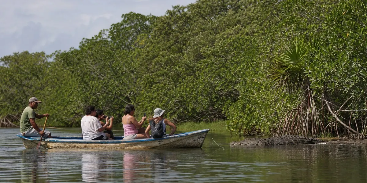 La Ventanilla community in Mexico releases up to 30,000 turtles annually — Mexico News Daily