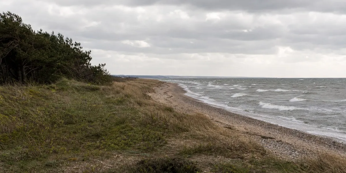 Latvian government rejects K2 Ventum wind farm project with 46 turbines