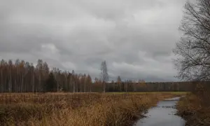 В Румынии обнаружили тело, которое, возможно, принадлежит пропавшему британскому туристу