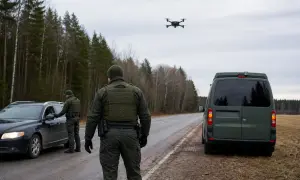 Фото: врятований в Естонії пес виявився вовком