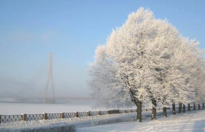 У Латвії зафіксували найсильніші морози за останні 13 років
