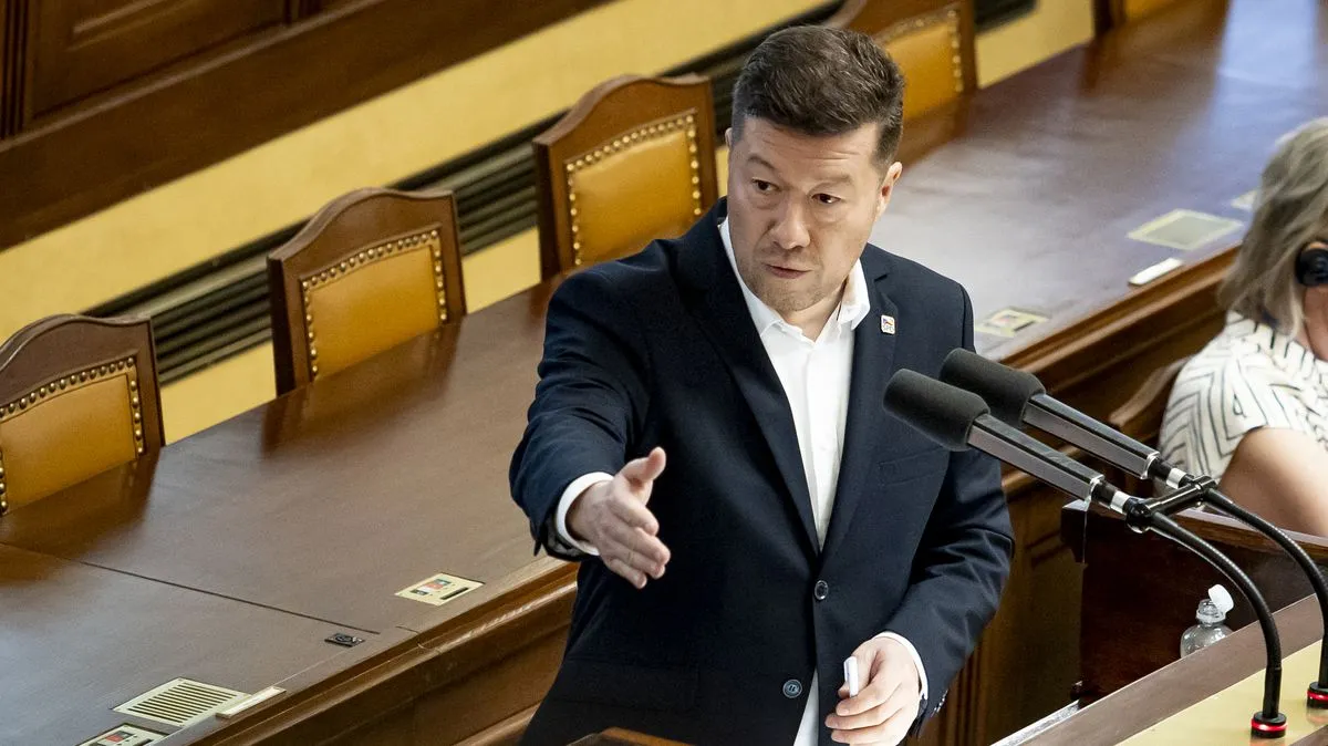 Новообраний спікер парламенту Чехії наказав зняти з будівлі прапор України