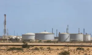 Правящая партия Грузии избрала нового лидера