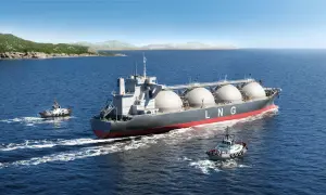 У Литві прикордонників забезпечать важким озброєнням