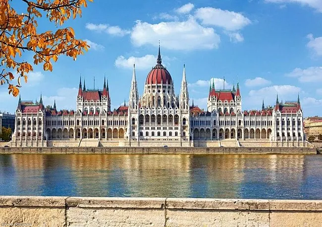 Угорщина схвалила закон про заборону «штучного» м'яса