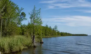 Індонезія заборонила лікарські сиропи після смерті сотні дітей