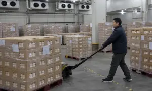 刚果民主共和国国家公园附近原住民社区提出森林保护模式