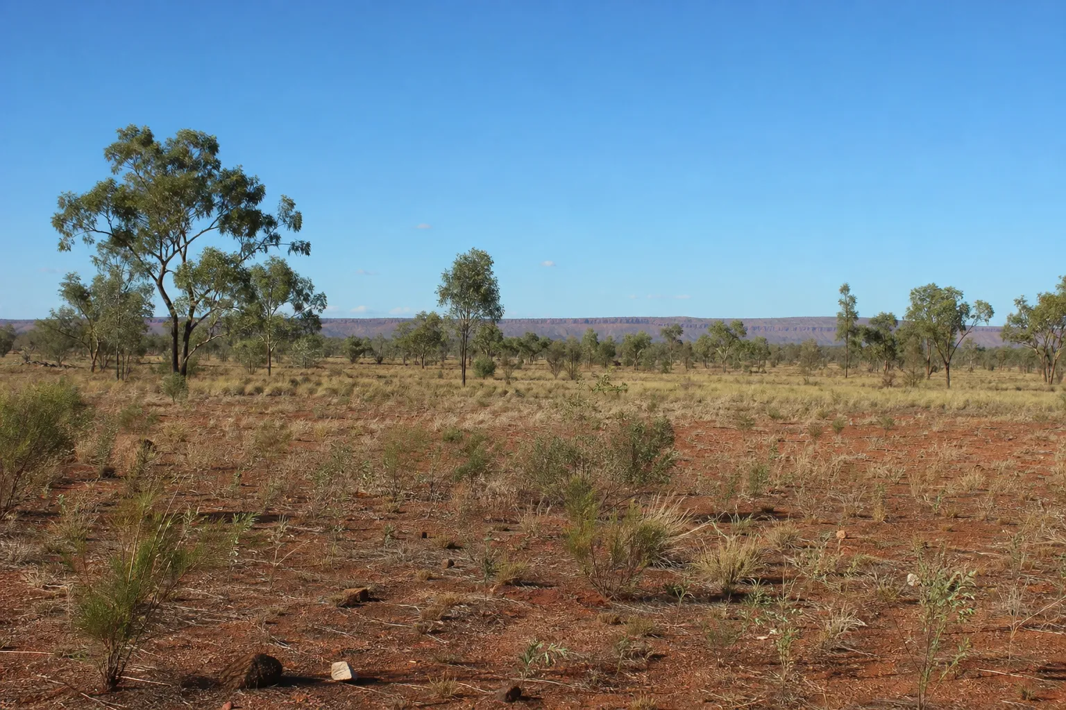 Australian official did not publicly disclose relative's link to Beetaloo