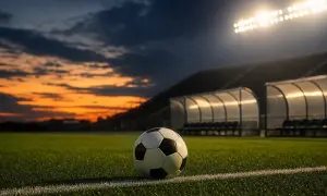 В ЮАР стартует Pro20 Cup с участием команд двух дивизионов — TimesLIVE