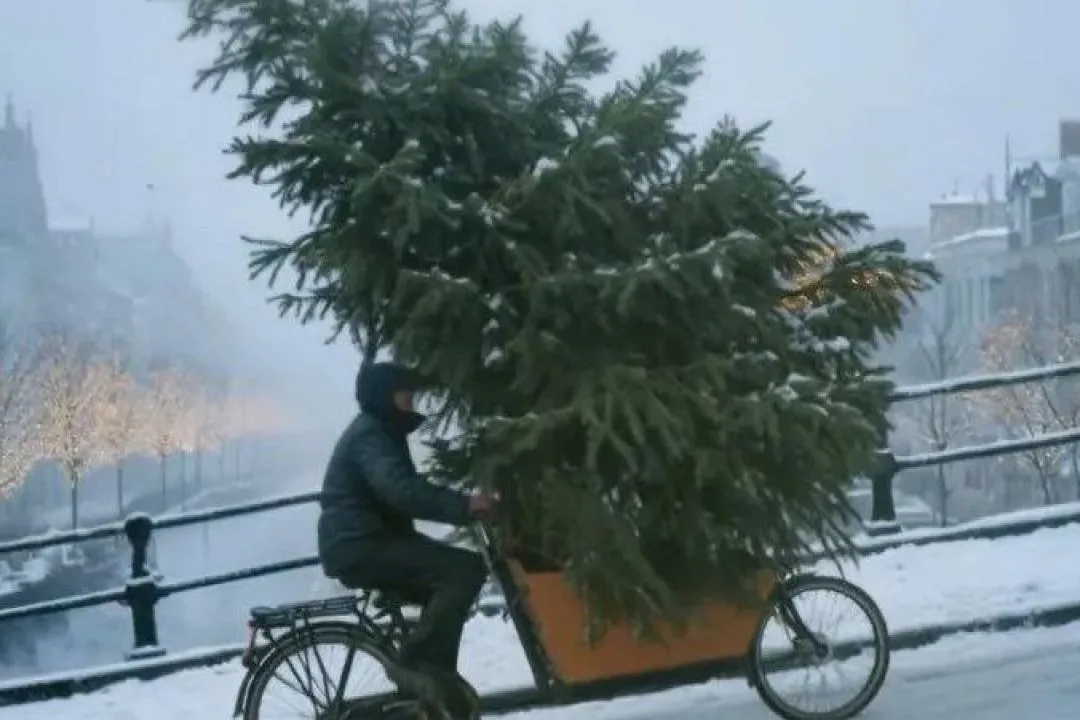 У Нідерландах McDonald’s втрапив в скандал через різдвяну рекламу, згенеровану ШІ