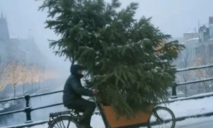 Сіміон визнав поразку на виборах президента Румунії