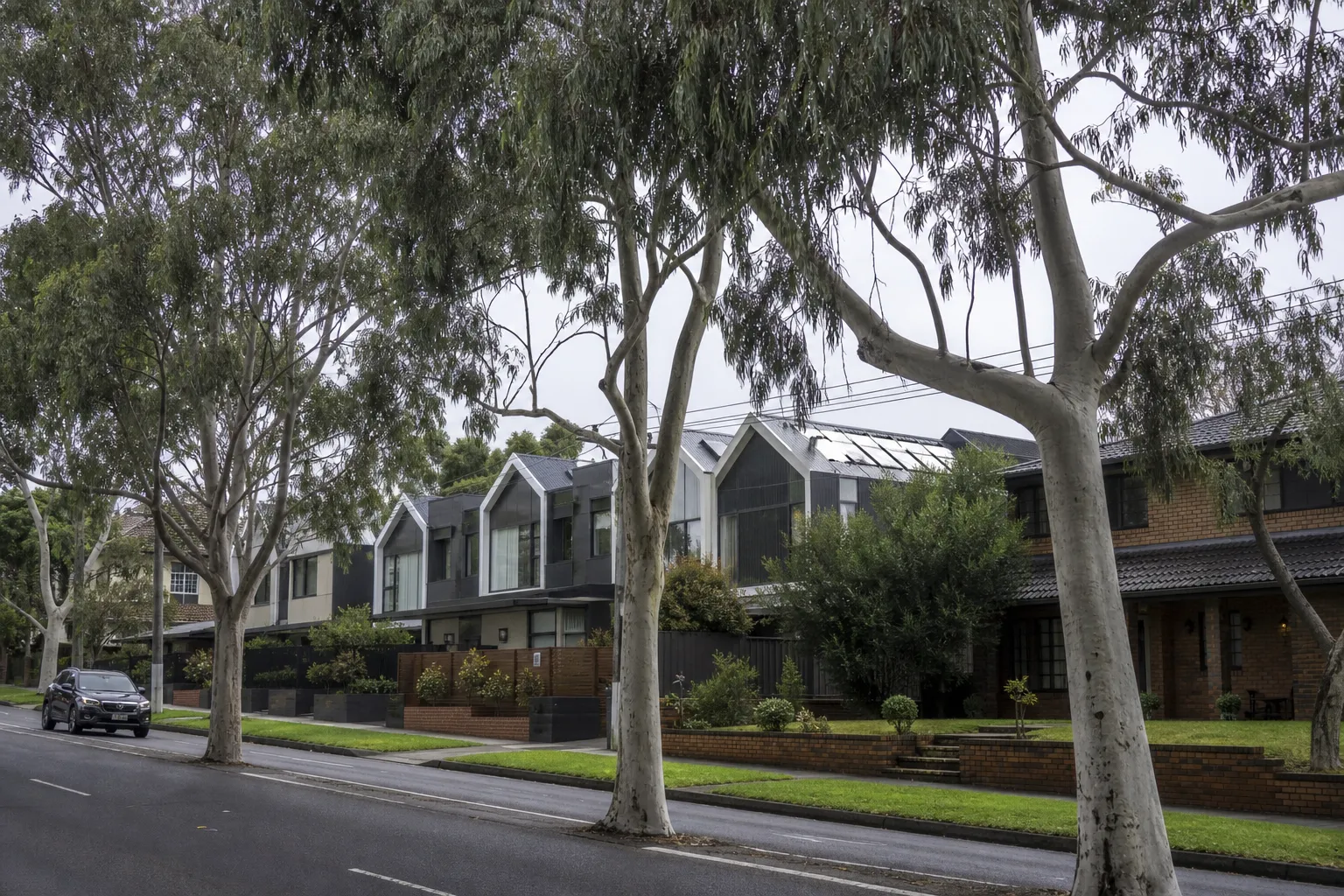 Mieszkańcy przedmieścia Melbourne sprzeciwili się usuwaniu drzew ulicznych