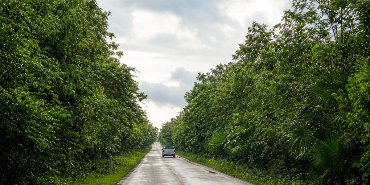 Mexican communities ask court to cancel road in Sian Ka'an — Mongabay