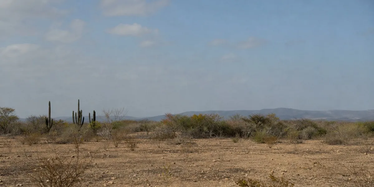 Obszar umiarkowanej i silnej suszy w Meksyku wzrósł o 70% — Mexico News Daily