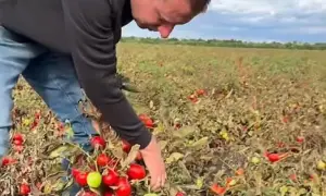 В тюрьме скончался предатель, который координировал удар по Яворовскому полигону