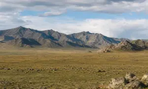 В Китае установлен исторический рекорд смертности от коронавируса