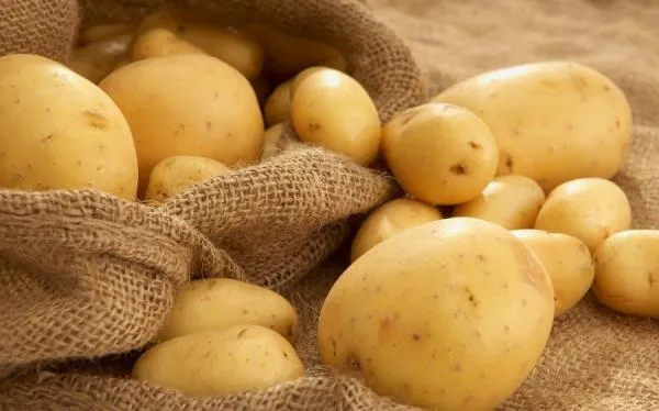 The reasons why new potatoes are getting cheaper in Ukraine have been revealed
