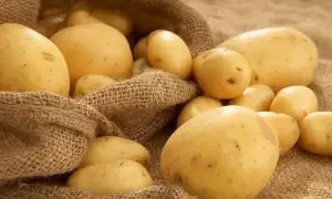 Скоростные поезда «Укрзализныци» пользовались чрезвычайной популярностью в Украине