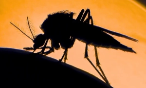 У Кремлі відреагували на можливі поставки Tomahawk до України