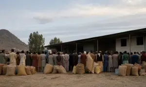 Międzynarodowe firmy rozpoczęły skup nadwyżek tytoniu w Pakistanie — Dawn