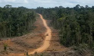 ОАГ направит миссию наблюдения на выборы в Гренаде — The Rio Times