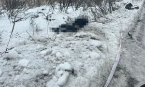 Зеленський про черговий блекаут на ЗАЕС: міжнародні інституції безсилі