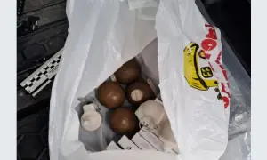 Розширено перелік населених пунктів, де можна купити житло за програмою єВідновлення