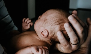 Київ пропонує створити алгоритм навігації в Чорному морі для експорту зерна