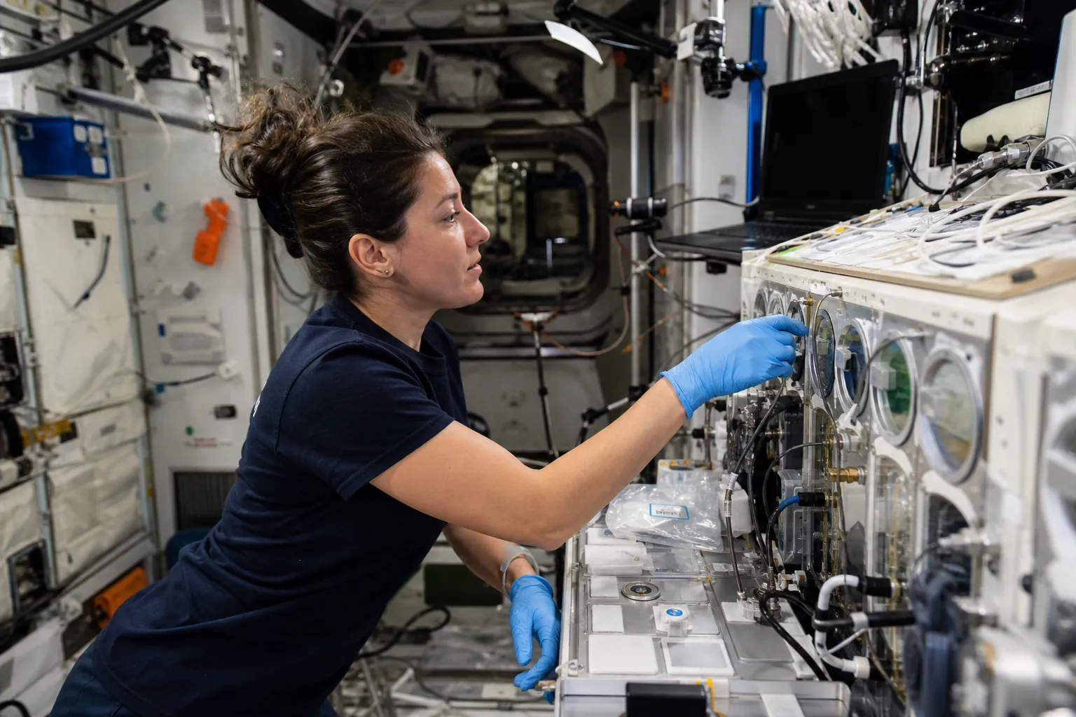Астронавты NASA на МКС получат выходной в День труда — Space.com