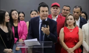 У Франції спалахнули лісові пожежі, вигоріли сотні гектарів насаджень