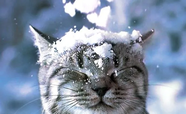 Синоптики розповіли, якою буде погода в Україні у грудні