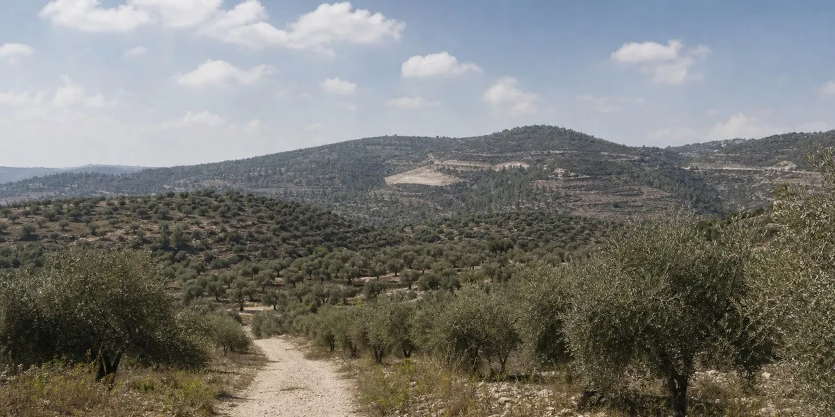 Нетаньяху призвал не спешить с выводами об атаке на дипломатов — Jerusalem Post