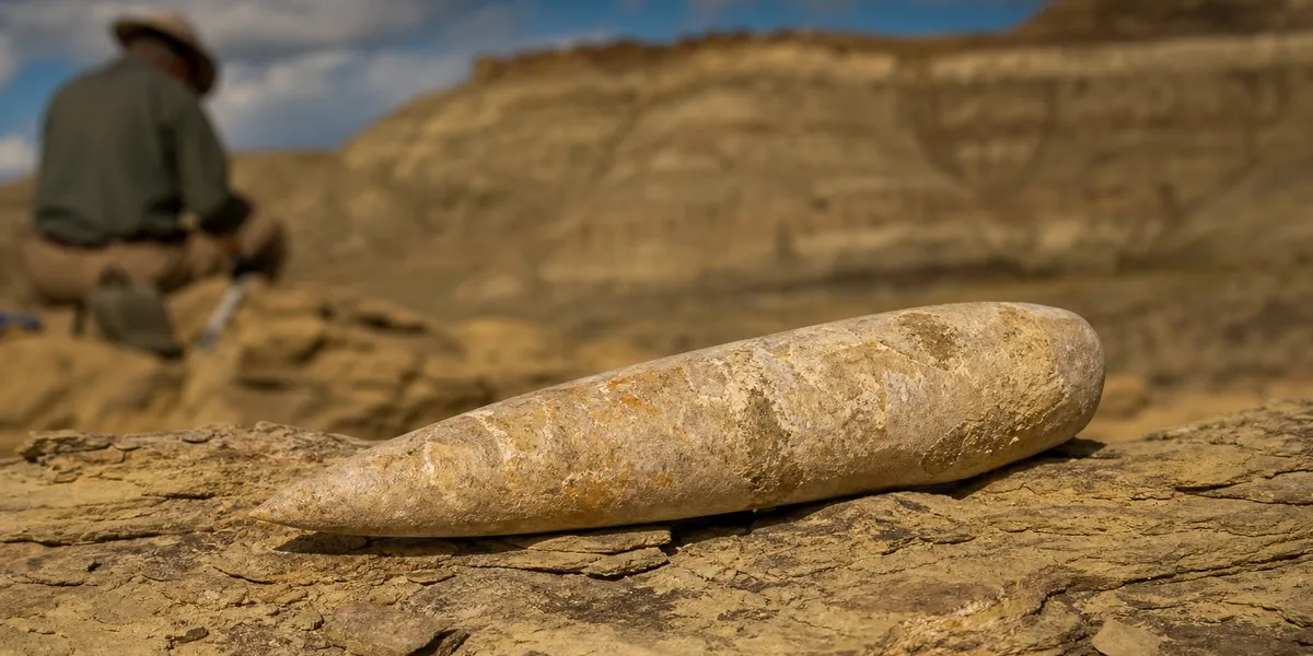 В Вайоминге описали новый вид юрского белемнита возрастом 160 млн лет — ScienceAlert