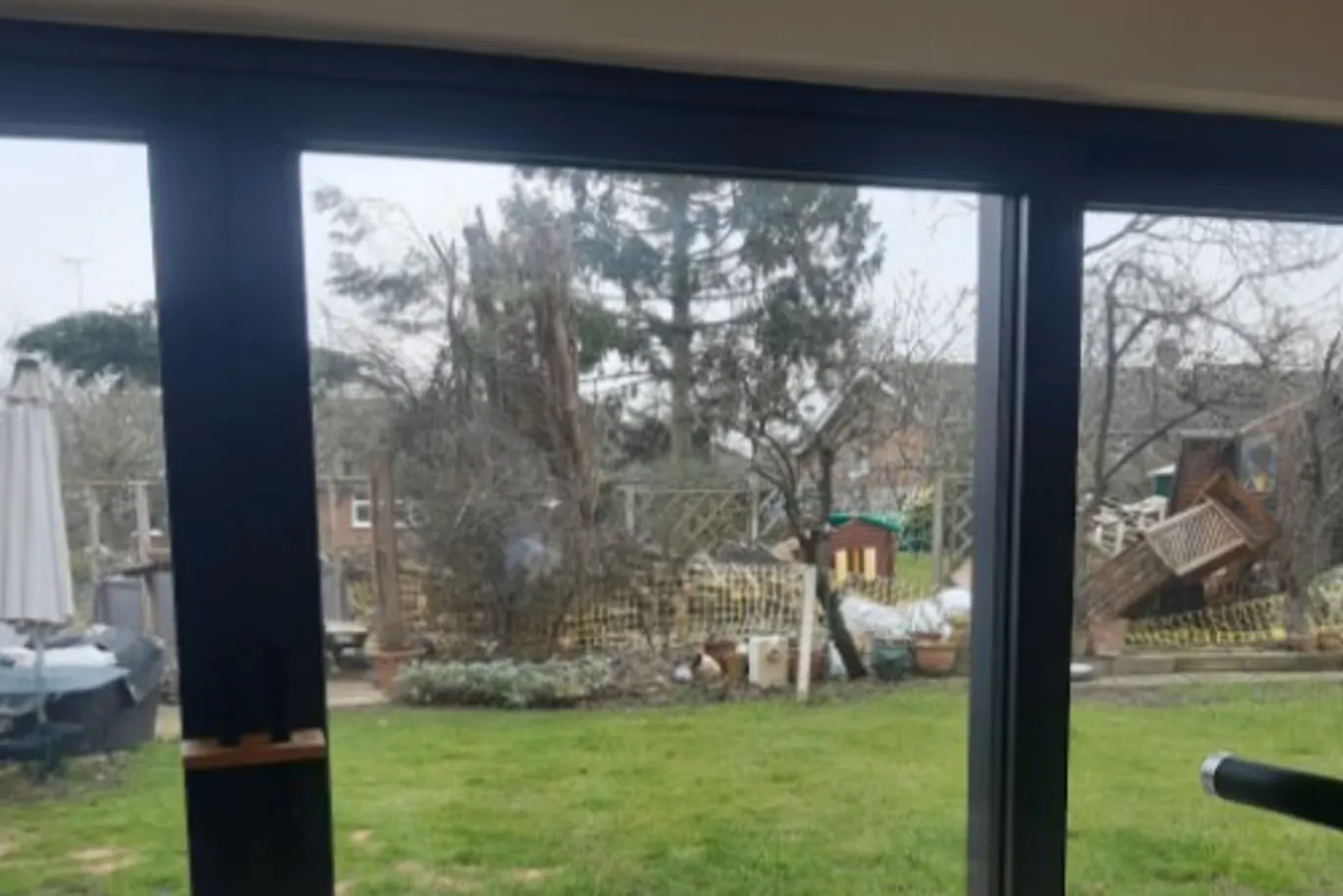 A British court ordered a family to pay more than £209,000 for illegally cutting down trees