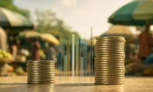 MyJoyOnline：加纳2025年信贷查询数量下降12%