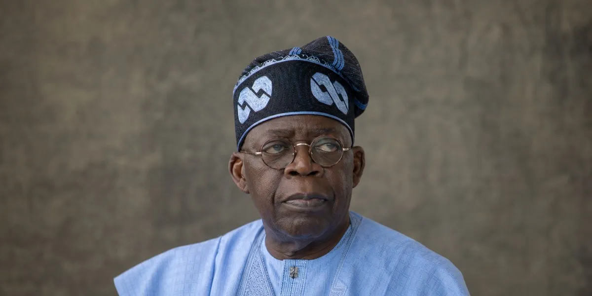 Publicystka skrytykowała kampanię poparcia dla Tinubu w Nigerii — Premium Times Nigeria