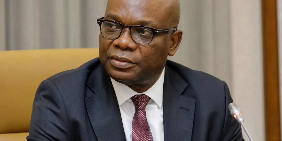 尼日利亚37人死亡后20名人员被停职——Premium Times Nigeria
