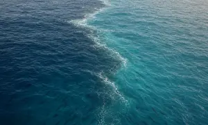 巴基斯坦一辆小巴坠入峡谷，4名儿童死亡——《黎明报》
