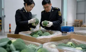 Ningxia launches pilot model for inspecting agricultural exports