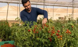 «Ликуд» требует удалить ролики о Нетаньяху в Израиле — Jerusalem Post