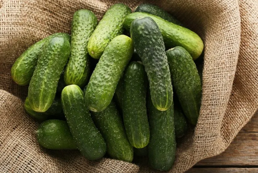 В Україні рекордно зросли ціни на тепличні огірки