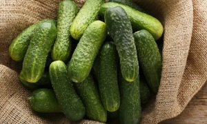 Рада підтримала закон проти дискримінації жінок у рекламі