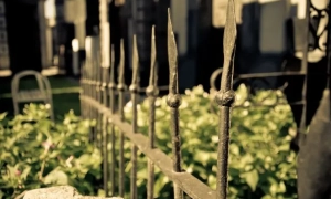 Злочини рф: супутникові знімки підтвердили масштаби поховань у Маріуполі