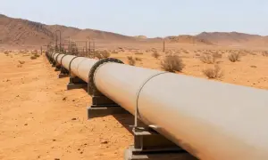 У Данії почали зберігати CO2 під дном Північного моря — The Hindu