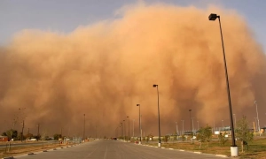 У Бразилії соцмережу X оштрафували на майже мільйон доларів