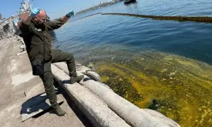 В правительстве рассказали, кто сможет ездить по платным дорогам безоплатно