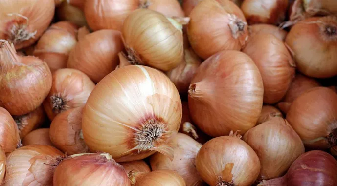 Onion prices have risen in Ukraine