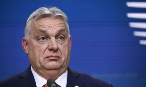 Ірландія призупинила безвіз для біженців із 20 країн Європи, щоб звільнити місце для українців